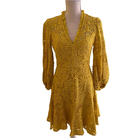 Lela Rose Pearl Sunflowe(Mustard)r Corded Lace Full Sleeve Fit and Flare Dress - Picture 1 of 14